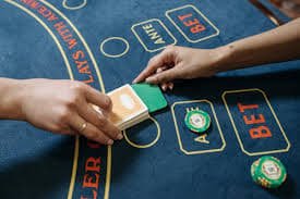 224bet 224bet
